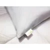 2pk Goose Feather Bed Pillow - St. James Home