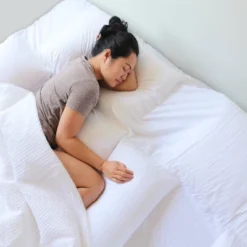 Suite Collection Replacement Pillow Insert - PillowSheets -Bedding Store GUEST 44d82ce7 c81a 4634 a91b e5b4f26732a3