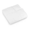 Lightweight Goose Down Alternative Comforter Queen White - DOWNLITE