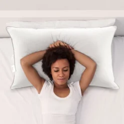 Cheer Collection Set Of 4 Standard Size Down Alternative Pillows (20" X 28")