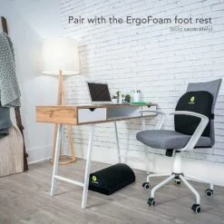 ErgoFoam Lumbar Support Pillow For Chair - Premium Breathable Mesh Back Support For Office Chair - Most Comfortable Lumbar Cushion