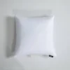 Euro 2pk Feather Down Bed Pillow - Beautyrest