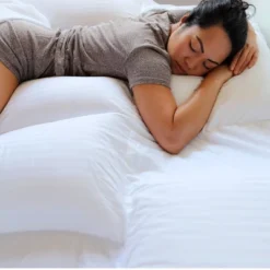 Suite Collection Replacement Pillow Insert - PillowSheets -Bedding Store GUEST dffe3bcf f5a3 41b5 850d 46da50c17ae4