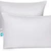 East Coast Bedding Set Of Two Luxury Goose Down Filled Pillows (King Size)
